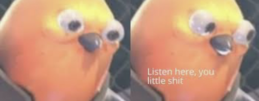 Listen here you little shit bird Meme Preview Image