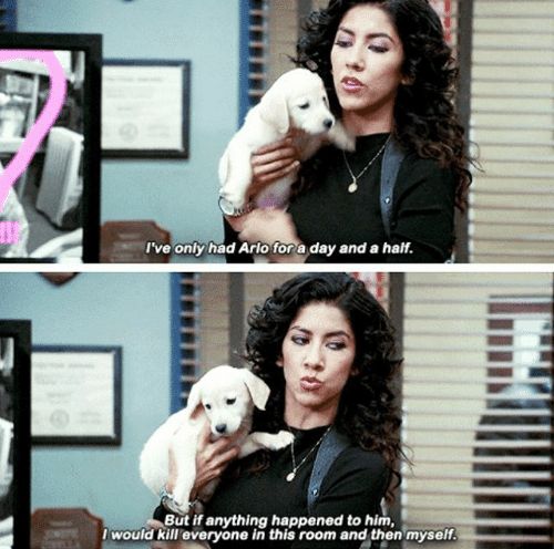 I've only had Arlo for a day and a half Meme Template