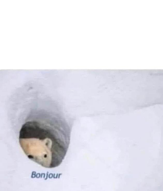Bonjour Meme Preview Image