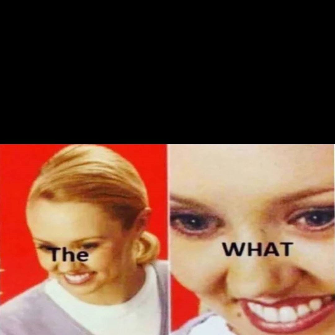 The What Meme Preview Image