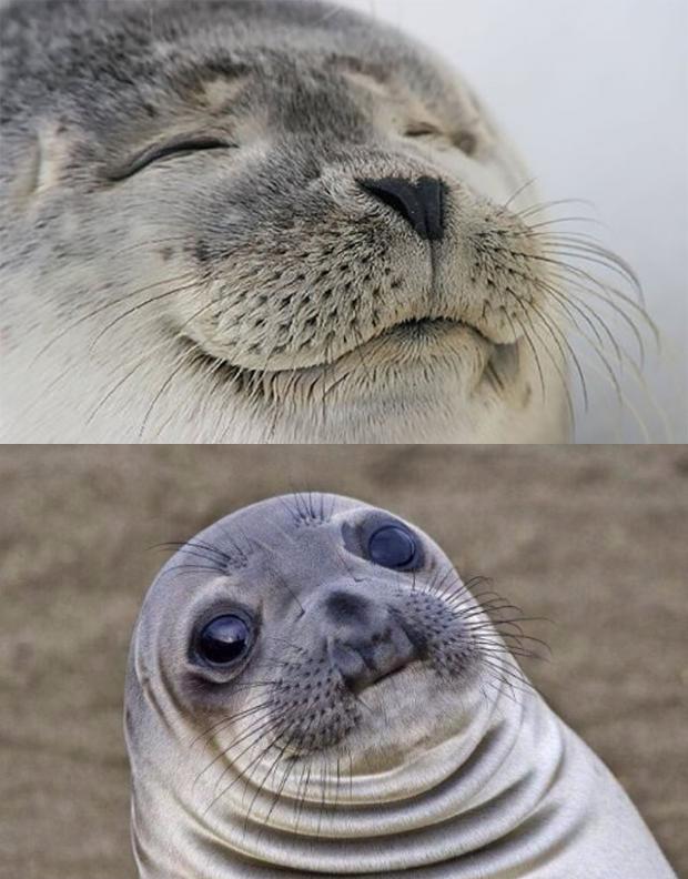 Short Satisfaction VS Truth Meme Template