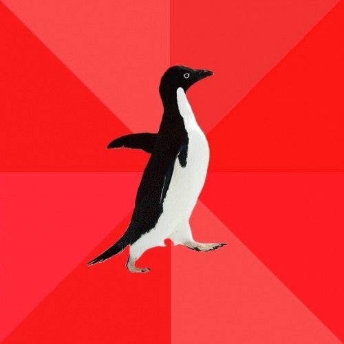 Socially Awesome Penguin Meme Preview Image