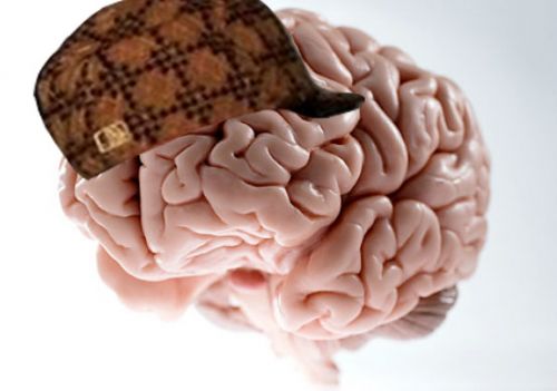 Scumbag Brain Meme Preview Image