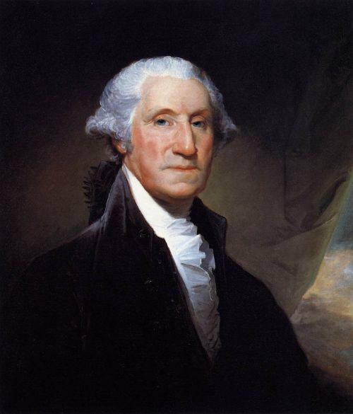 George Washington Meme Preview Image