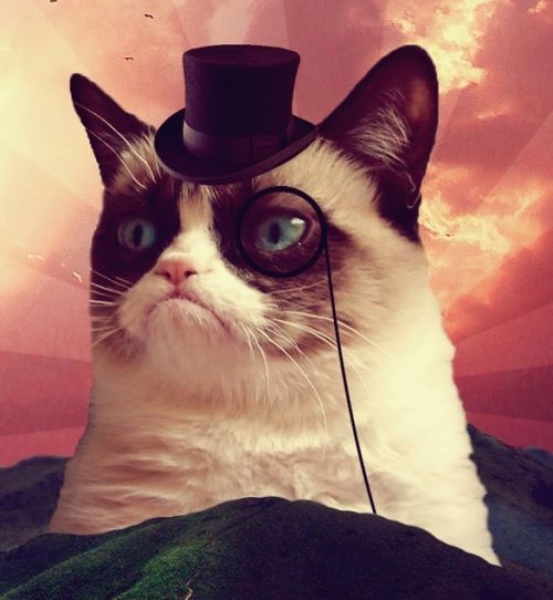 Grumpy Cat Top Hat Meme Preview Image