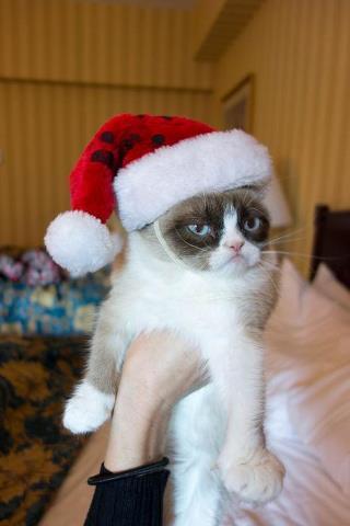 Grumpy Cat Christmas Meme Preview Image