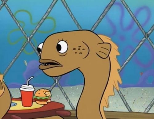 Sadly I Am Only An Eel Meme Preview Image