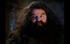 hagrid yer a wizard Meme Preview Image