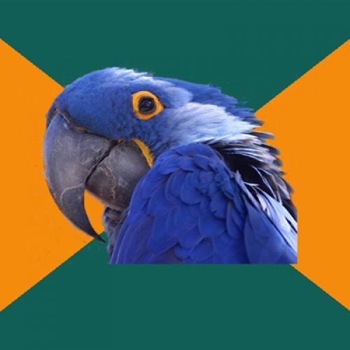 Paranoid Parrot Meme Preview Image