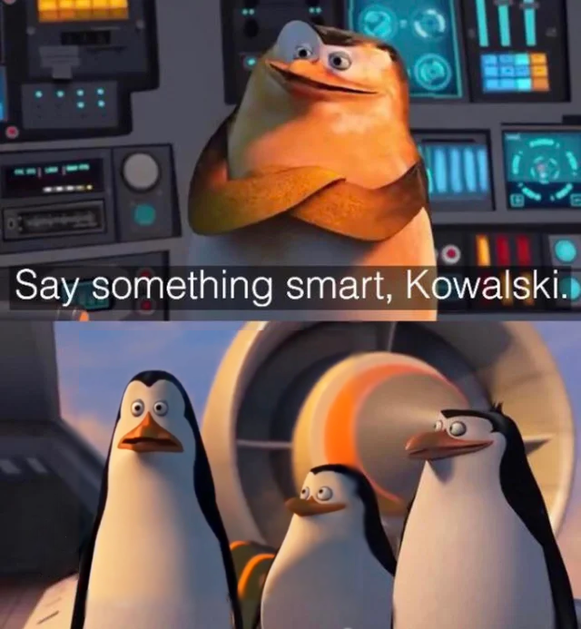 Say something smart Kowalski  Meme Preview Image