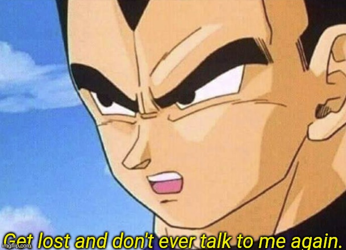 Get lost and don't ever talk to me again  Meme Preview Image