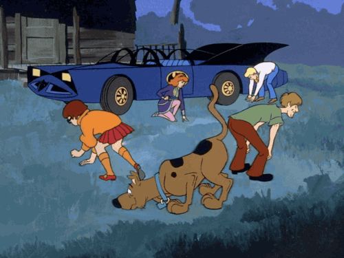 Scooby Doo Search  Meme Preview Image