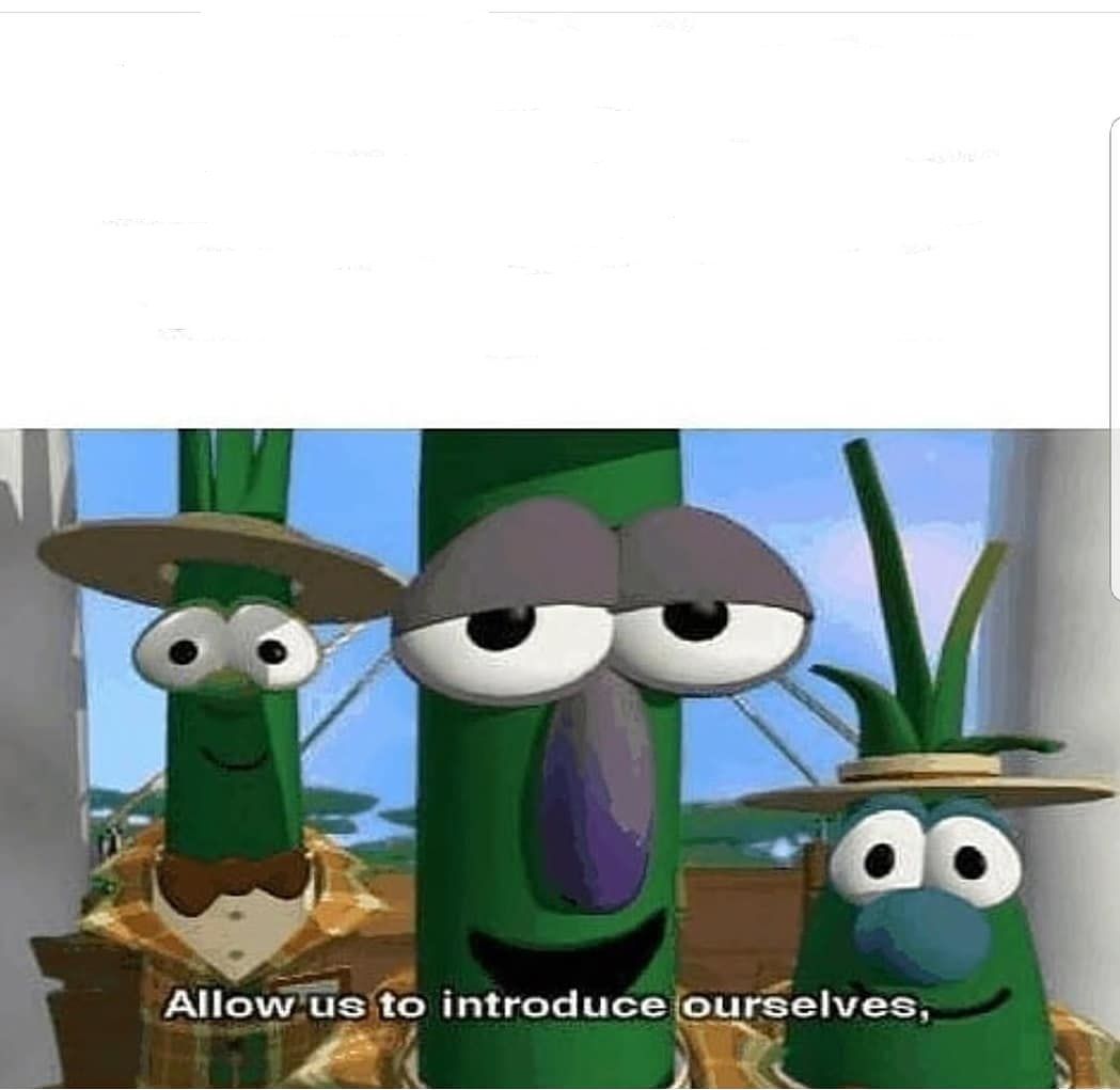 Allow us to introduce ourselves Meme Preview Image