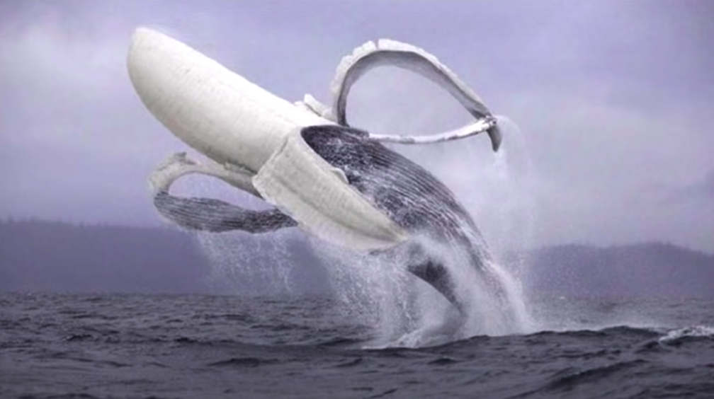 banana whale  Meme Preview Image