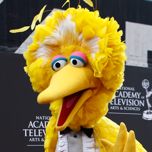 Big Bird Meme Preview Image