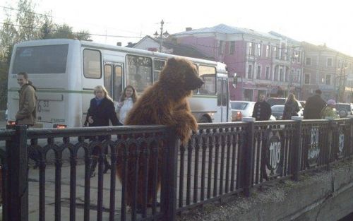 City Bear Meme Preview Image