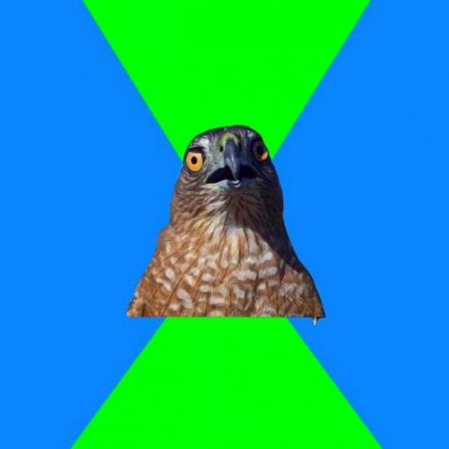 Hawkward Meme Preview Image