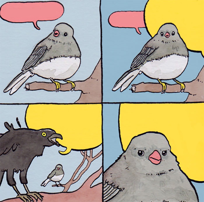 Interrupting bird Meme Preview Image