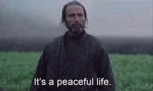 It’s a peaceful life  Meme Preview Image