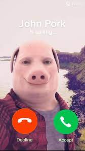john pork Meme Preview Image