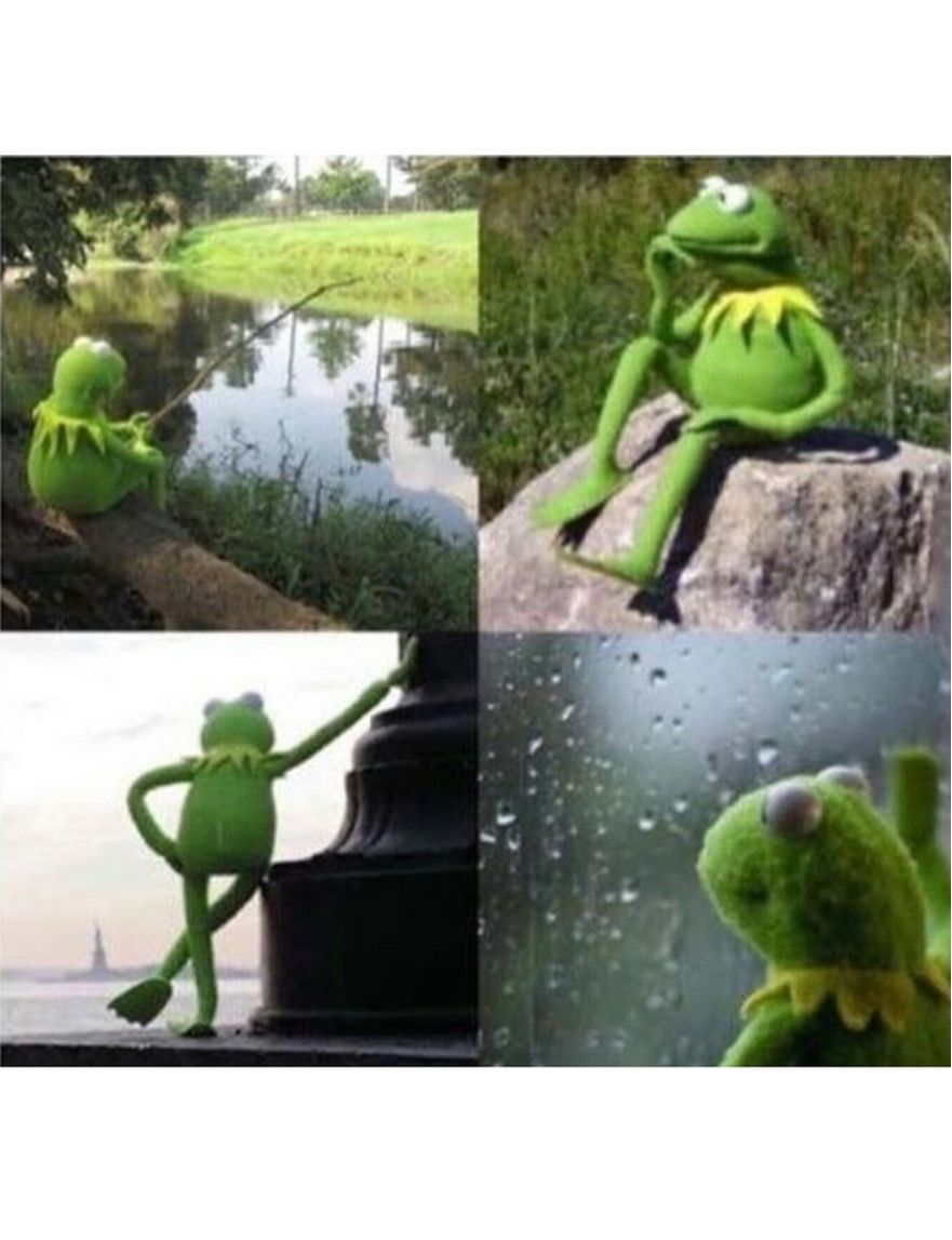 blank kermit waiting Meme Preview Image