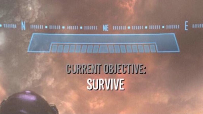 Current Objective: Survive Meme Preview Image
