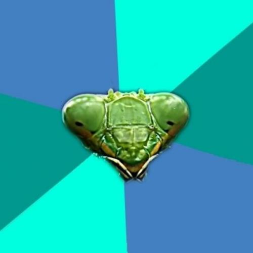 Crazy Girlfriend Praying Mantis Meme Preview Image