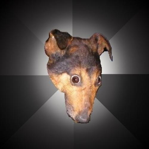 Depression Dog Meme Preview Image