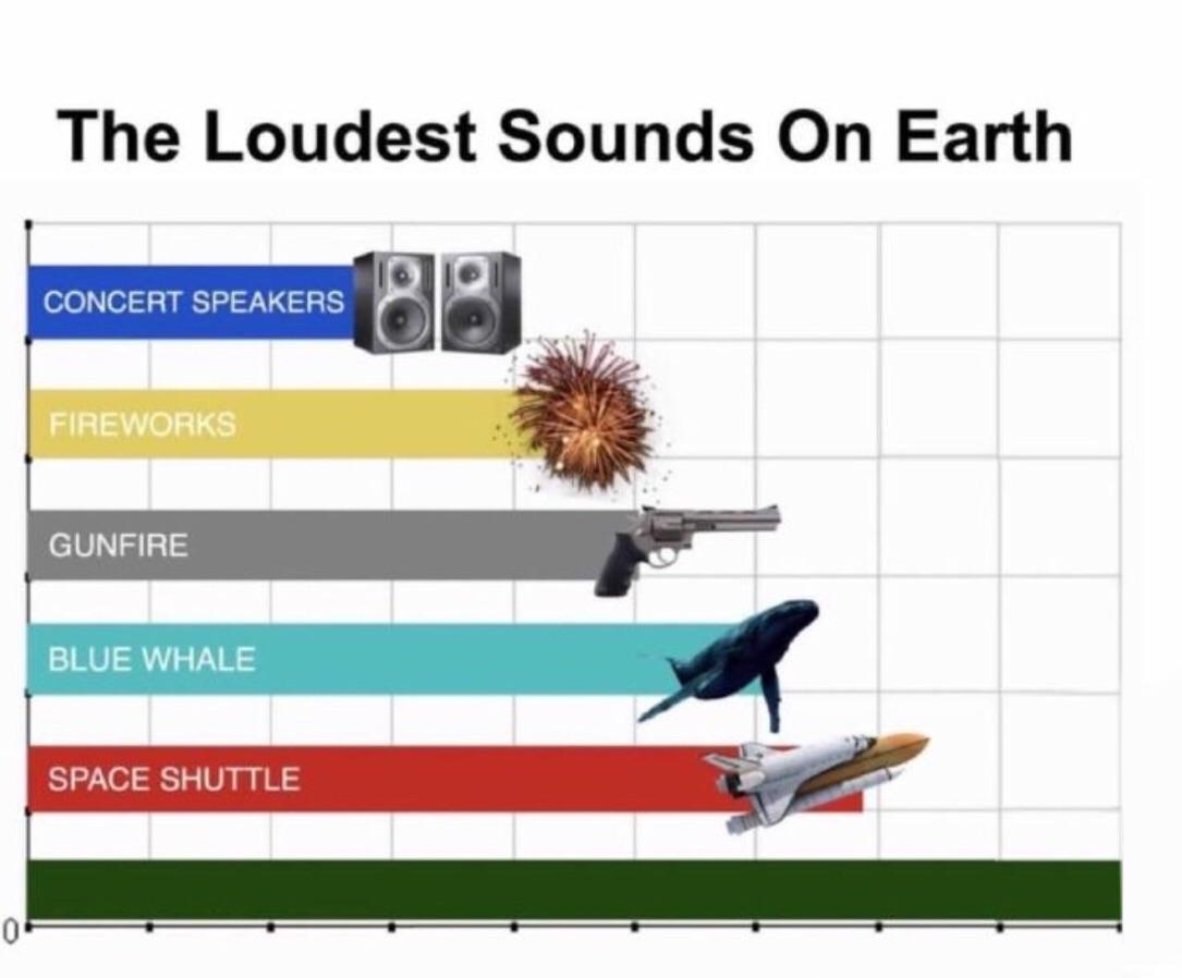 Loudest sounds on earth  Meme Preview Image