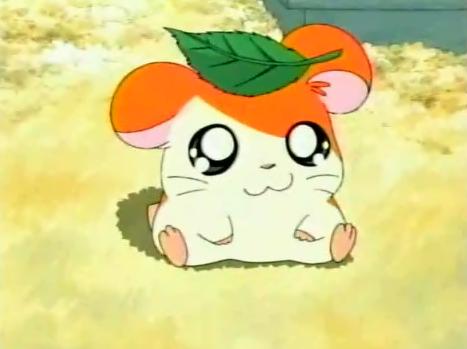 Hamtaro Meme Preview Image