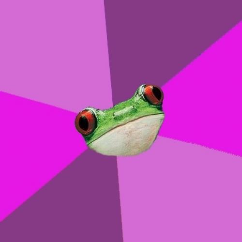 Foul Bachelorette Frog Meme Preview Image