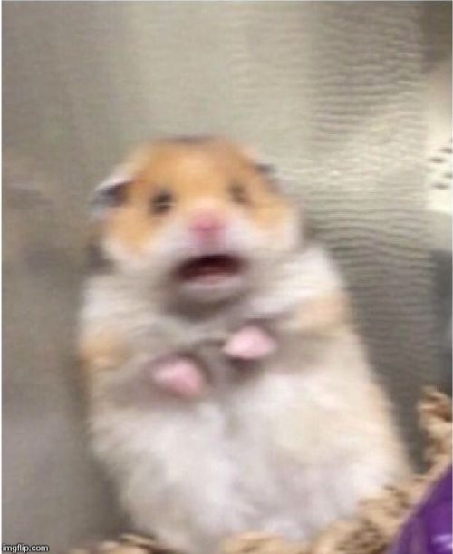 Scared Hamster Meme Preview Image