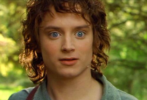 Surpised Frodo Meme Preview Image