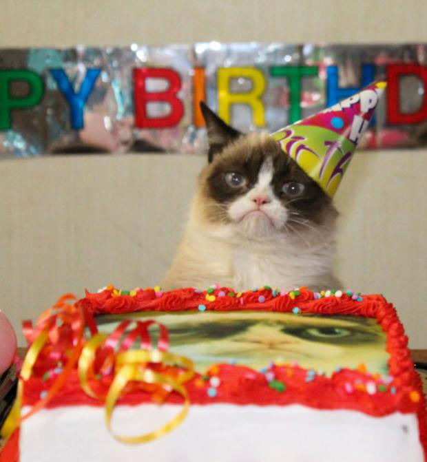 Grumpy Cat Birthday Meme Preview Image