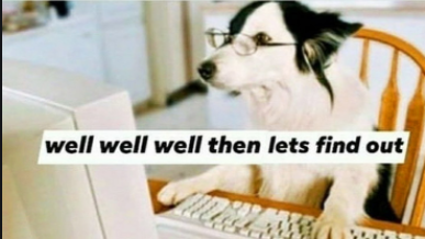 well well well then lets find out  Meme Preview Image