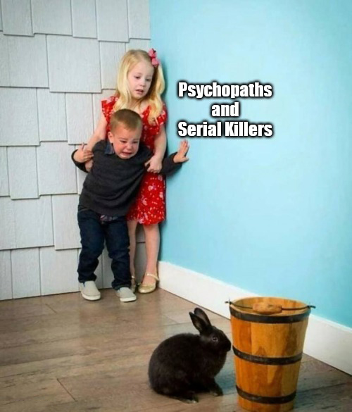 Psychopaths and serial killers  Meme Preview Image
