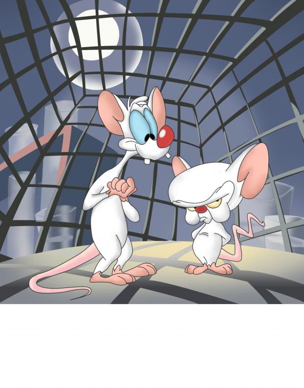Pinky and the brain Meme Preview Image