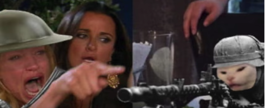 woman getting shot at by cat  Meme Preview Image