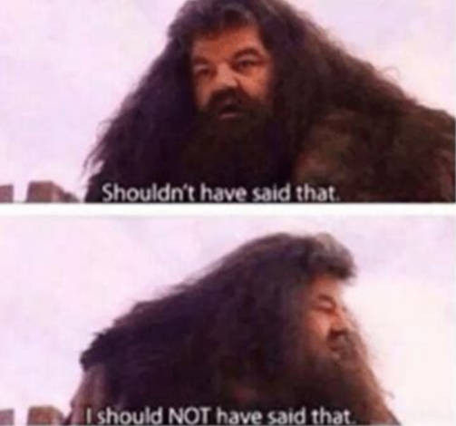 Shouldn't have said that  Meme Preview Image