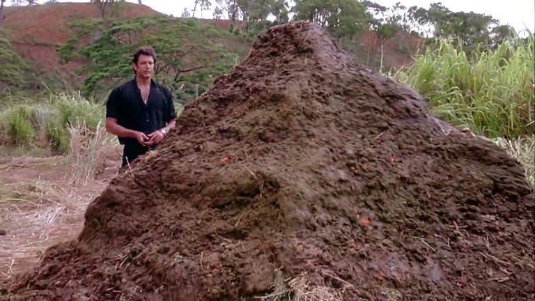 Big pile of bullshit  Meme Preview Image