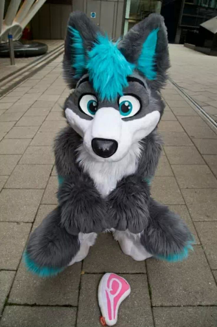 Furry  Meme Preview Image