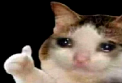 Sad cat thumbs up  Meme Preview Image
