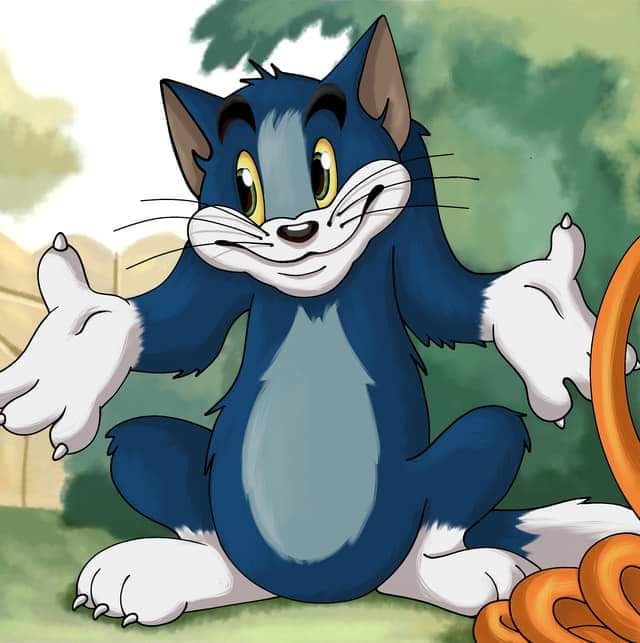 Tom and Jerry - Tom Who Knows HD  Meme Preview Image