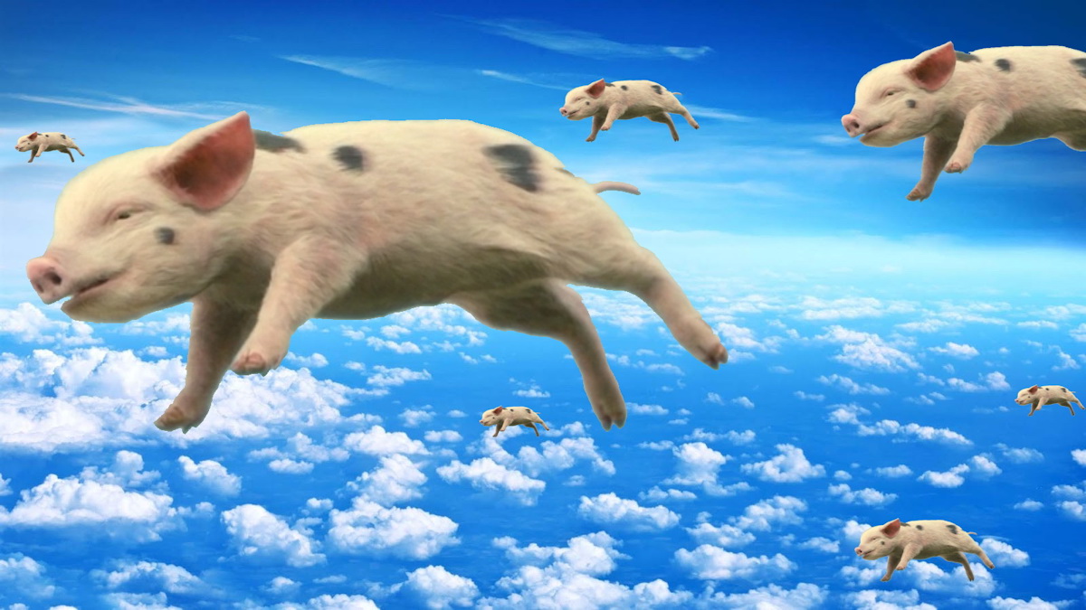 When Pigs Fly  Meme Preview Image