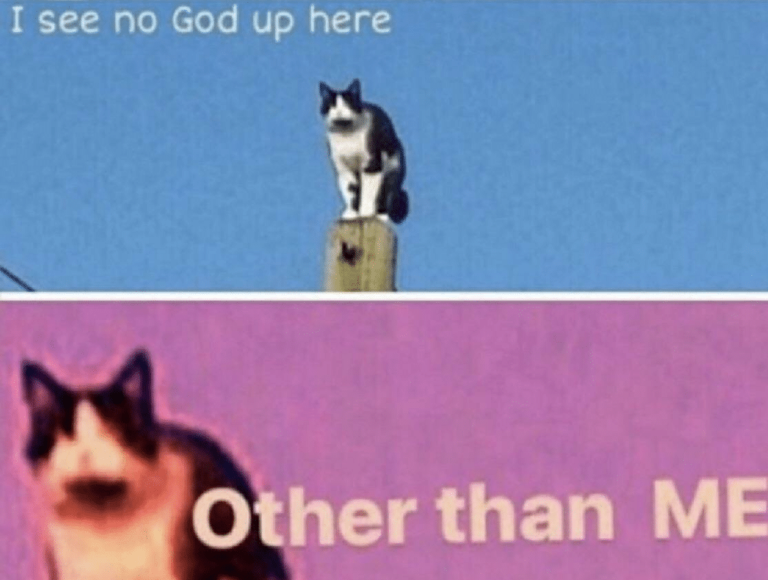 I see no god up here other than me  Meme Preview Image