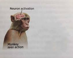 Neuron activation  Meme Preview Image