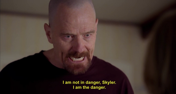 i am not in danger skyler i am the danger  Meme Preview Image