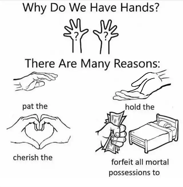 Why do we have hands? (all blank)  Meme Preview Image