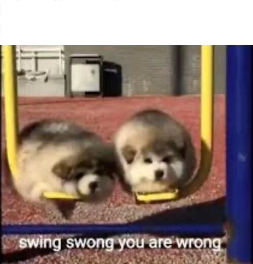 SWING SWONG YOU ARE WRONG  Meme Preview Image