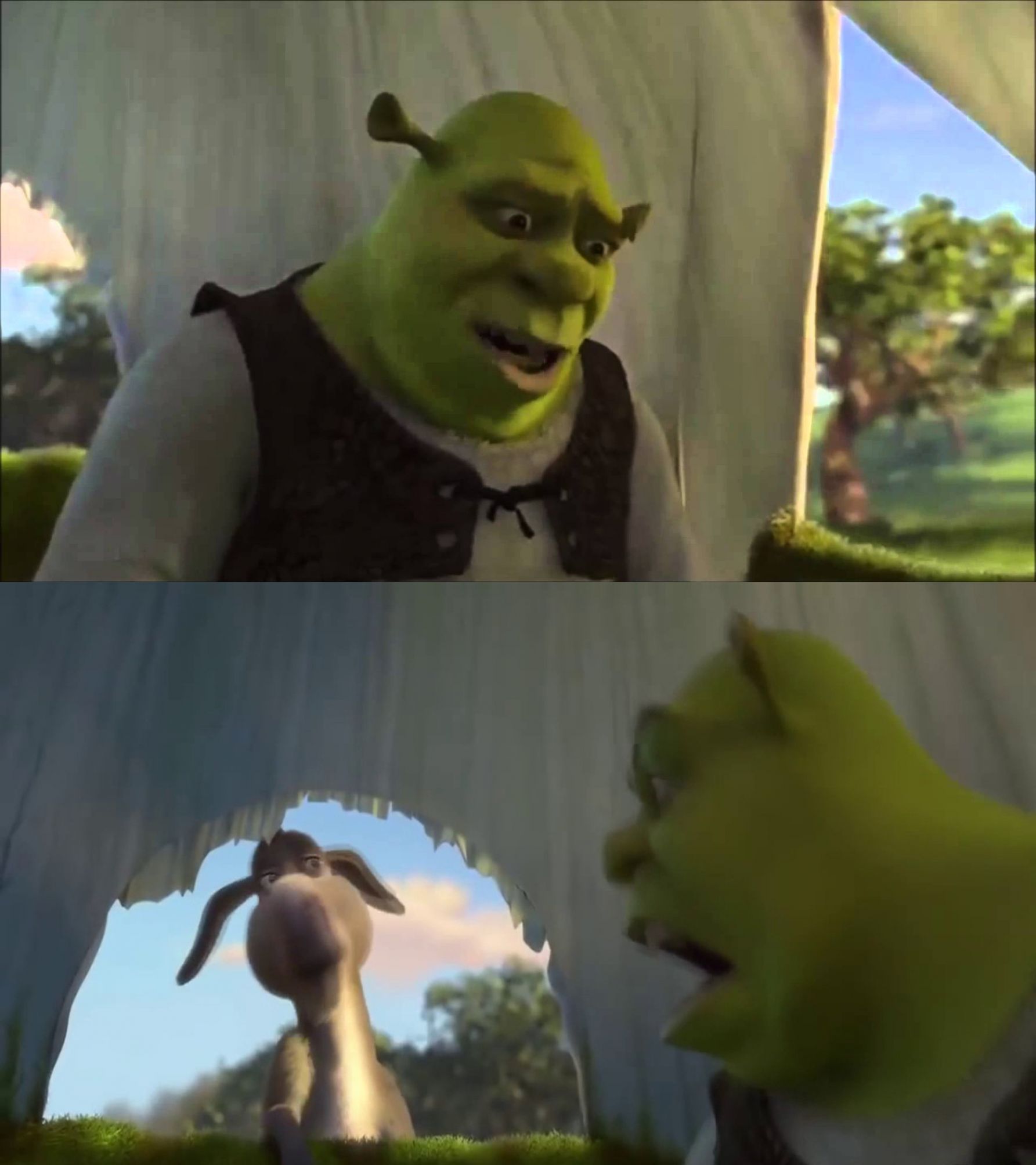 shrek five minutes  Meme Preview Image